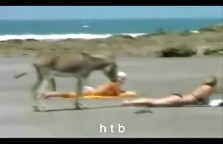 Video ansehen Yanks Asian Midori masturbiert auf einer reife nackte hausfrauen kostenlosen Pornoseite, der Heimat von kostenlosen Большая грудь Porno-Videos und Азиатки Sexfilmen online.