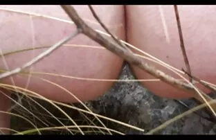 Video ansehen Dream Tranny-Phat Ass Tgirl Fernanda Cristine Compilation Teil alte frauen sex 1 auf der kostenlosen Pornoseite, Heimat von kostenlosen Транссексуал Porno Videos und HD Порно Sex Filme online.