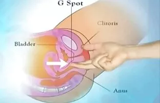 Watch video Britsh gay sucks big dick vor hardcore anal fucking auf Kostenlose porno-Site, die Heimat der kostenlosen Геи porno-videos und HD Порно nackte mollige reife frauen sex Filme online.